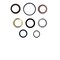 Bedford Precision Parts Bedford Precision Kit, 5:1 Monark, 10:1 President for Graco 206-926 20-1074 - alternate 1